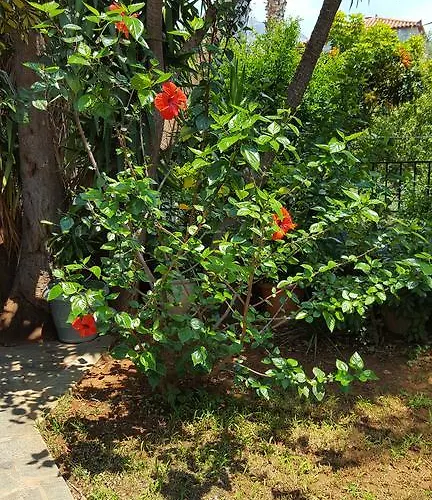 Onar A Stone House With Amazing View Дом отдыха Ступа