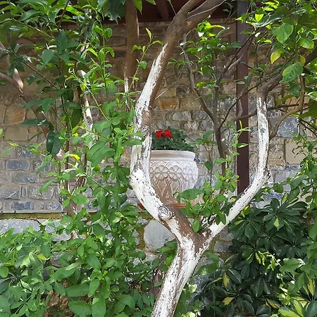 Onar, Stone With Sea View & Private Jacuzzi * Stoupa
