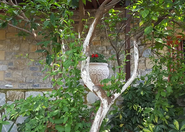 Onar A Stone House With Amazing View * Stoúpa